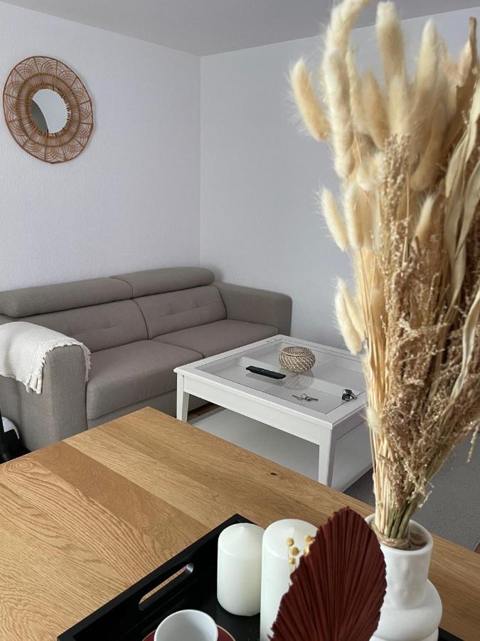 Appartement La Petite Venise コルマール エクステリア 写真