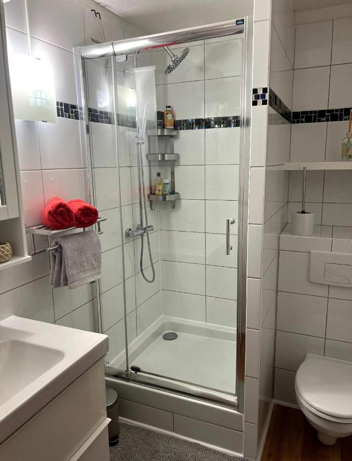 Appartement La Petite Venise コルマール エクステリア 写真