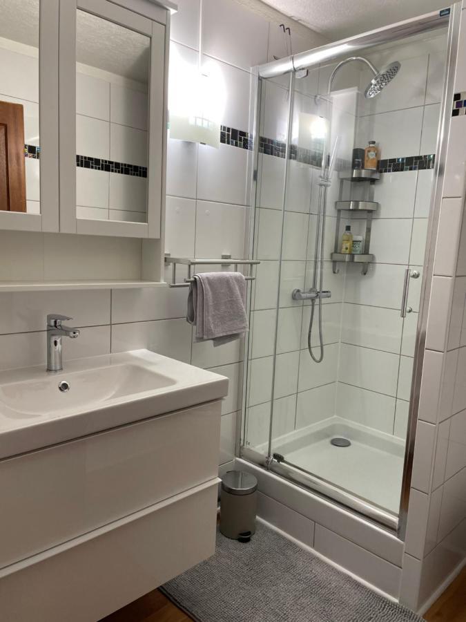 Appartement La Petite Venise コルマール エクステリア 写真
